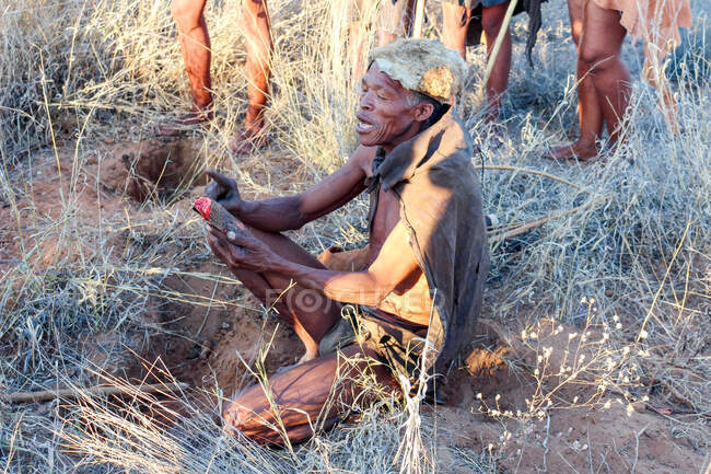Namibie, Ghanzi Pionniers, Safari, Bushwalk, Bushmen, Bushmen exécutant des rituels et creusant une racine — Photo de stock