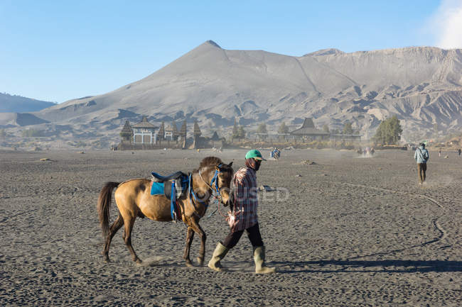 Indonésie, Java, Probolinggo, cheval devant le volcan Batok — Photo de stock