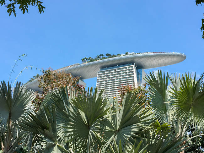 Singapore, Marina Bay Sands dietro le palme — Foto stock