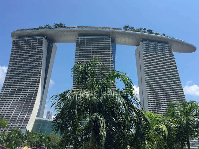 Сінгапур - 26 травня 2016: Сінгапур, Marina Bay Sands позаду пальмові дерева — стокове фото