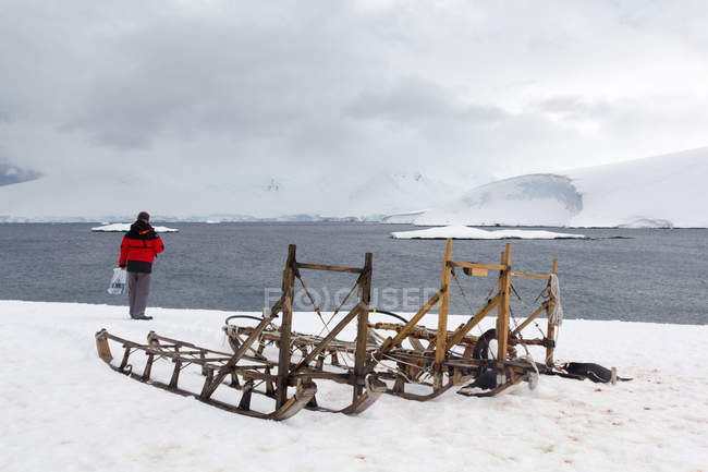 Hombre visitando la estación británica No61, pingüino al lado de trineos, Antártida - foto de stock