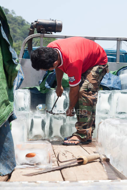 Man working with ice cubes for cool boxes at crabs market, Kep, Cambodia — Stock Photo