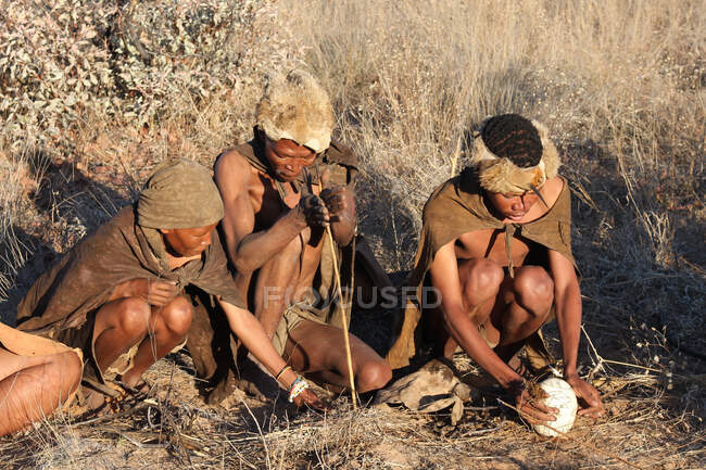 Namibia, Ghanzi Trail Blazers, Morning, Bush Walk, Bushmen, Water Vessel, Making Fire, Fire Pit, Wild Dog Safari. - foto de stock