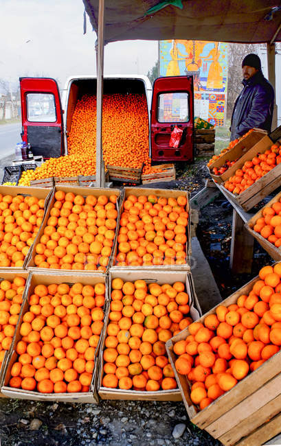 Stand con mandarini ai margini dell'autostrada a nord di Tbilisi, Georgia — Foto stock