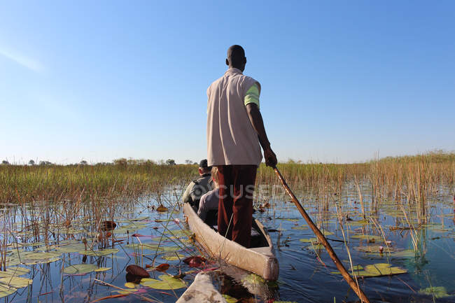 Mokoro-Fahrt durch Pflanzen im Sumpf auf einem Baggerboot, Okavango-Delta, Botswana. — Stockfoto