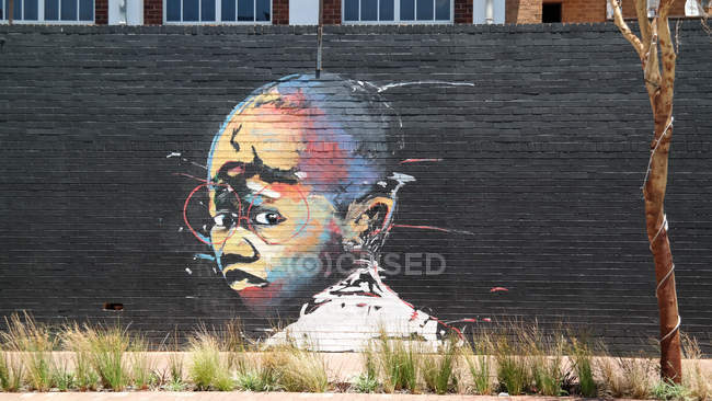 Sudáfrica, Gauteng, Johannesburgo, Arte urbano en la pared en Maboneng - foto de stock
