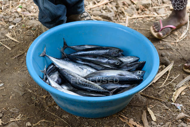 Cabo Verde, São Miguel, peixe fresco no país . — Fotografia de Stock