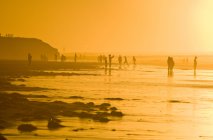 Silhouetten von Menschen, die am Strand von Profit Point in der Nähe von Darnley, Prince Edward Island, Kanada spazieren. — Stockfoto