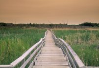 Wooden boardwalk trail in Spruce Woods Provincial Park, Manitoba, Canada — Stock Photo