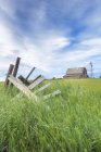 Celeiro abandonado e moinho perto de Leader, Saskatchewan, Canadá — Fotografia de Stock