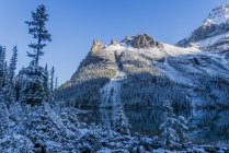 Neuschnee auf schneebedeckten Gipfeln im Yoho National Park, British Columbia, Kanada — Stockfoto