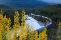 Treno merci a Morant curve, Banff National Park, Alberta, Canada — Foto stock
