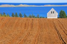 Feld, Bauernhaus und Meer in der Nähe des französischen Flusses, Prince Edward Island, Kanada — Stockfoto
