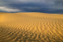 Natural sand pattern of Great Sandhills, Saskatchewan, Canada — Stock Photo