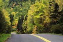 Estrada através de árvores no outono, Parque Nacional Forillon, Quebec, Canadá . — Fotografia de Stock