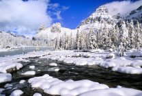 Snow covered trees and mountains of Opabin Plateau, Yoho National Park, British Columbia, Canada — Stock Photo