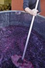 Cropped view of winery worker mashing Pinot Noir grapes in vat during harvest in vineyard. — Stock Photo