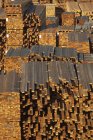 Holzstapeltrocknung im Bauhof der Holzfabrik. — Stockfoto