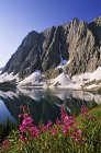 Цветы с камином на озере Флое в Национальном парке Кутеней, Британская Колумбия, Канада . — стоковое фото