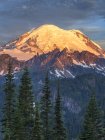 Сонячне світло висвітлює Mount Rainier при сходом сонця гора Реньє Національний парк, Вашингтон, США — стокове фото