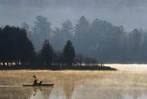 Silhouettes of woman and dog kayak in early morning, Oxtongue Lake, Muskoka, Ontario, Canada . — Foto stock
