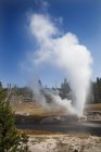 Steaming Riverside Geyser in vfd of Upper Geyser Basin, Yellowstone National Park, Wyoming, USA — стоковое фото