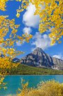 Árvores áspen em folhagem outonal enquadrando o Monte Chephren em Banff National Park, Alberta, Canadá — Fotografia de Stock