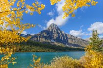 Аспенские деревья в осенней листве обрамляют гору Чефрен в Национальном парке Банф, Альберта, Канада — стоковое фото