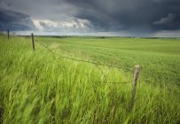 Fence and passing storm near Llyodminister, Alberta, Canada. — Stock Photo