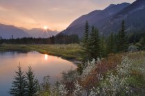 Bow River along the Bow Valley Parkway of Banff Natioanl Park Alberta, Canada. — Stock Photo
