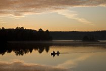 Dos hombres remando en canoa al amanecer en Oxtongue Lake, Muskoka, Ontario, Canadá . - foto de stock