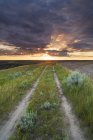 Estrada rural e nascer do sol em pastagens ao longo do rio Saskatchewan do Sul perto de Leader, Saskatchewan, Canadá — Fotografia de Stock