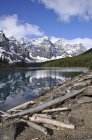 Costa rochosa do Lago Moraine com troncos e reflexão de montanha no Parque Nacional Banff, Alberta, Canadá — Fotografia de Stock