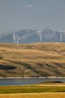Mulini a vento elettrici vicino Pincher Creek, Alberta, Canada
. — Foto stock