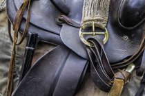 Close-up of leather horse tack detail with strap — Stock Photo