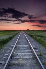 Treno all'alba vicino a Leader, Saskatchewan, Canada — Foto stock