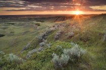 Lever de soleil au pâturage de Checkerboard Hill près de Leader, Saskatchewan, Canada — Photo de stock