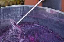 Cropped view of winery worker mashing Pinot Noir grapes in vat during harvest in vineyard. — Stock Photo