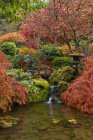 Folhagem e fluxo de outono no jardim japonês, Butchart Gardens, Brentwood Bay, British Columbia, Canadá — Fotografia de Stock