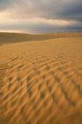 Natural rippled pattern of sand dunes in Great Sandhills near Sceptre, Saskatchewan, Canada. — Stock Photo
