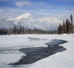 A neve cobriu o Monte Fryatt e congelou o Rio Athabasca, Parque Nacional Jasper, Alberta, Canadá . — Fotografia de Stock