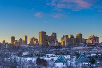 Фес и парк на горизонте города зимой, Эдмонтон, Альберта, Канада — стоковое фото