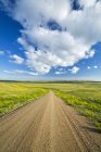 Scena rurale di strada sterrata attraverso Grasslands National Park, Saskatchewan, Canada — Foto stock