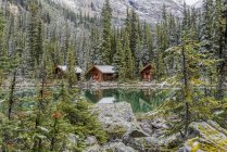 Cabins of Lake Ohara Lodge in Yoho National Park, British Columbia, Canada — Stock Photo