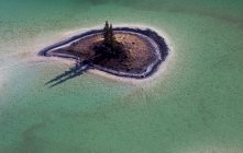 Vue aérienne sur les arbres de l'île de Cariboo Sud de la Colombie-Britannique, Canada — Photo de stock