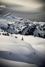 Uomo sciare polvere fresca mentre lo sci di fondo nelle montagne Monahees, Columbia Britannica, Canada — Foto stock