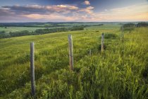 Pasture and rural fence near Bottrell, Alberta, Canada — Stock Photo