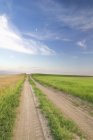 Chemin de terre traversant les prairies dans le sud de la Saskatchewan, Canada — Photo de stock