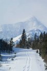 Bellevue пагорб з гори Galwey у зимовий озер Ватертона, Альберта, Канада — стокове фото