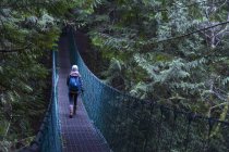 Suspension bridge and rear view of hiker on Juan de Fuca trail near China Beach, Victoria, British Columbia,  Canada — Stock Photo